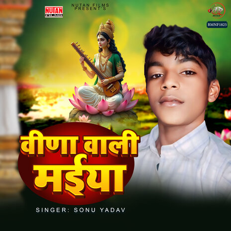 Veena Wali Maiya | Boomplay Music