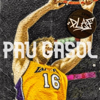 Pau Gasol