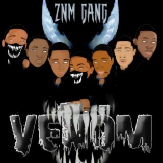 ZnM Gang