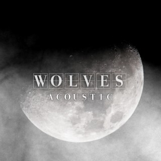 Wolves (Acoustic)