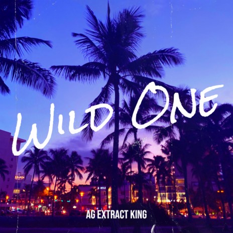 Wild One | Boomplay Music