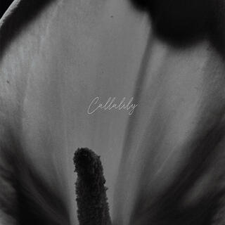 Callalily