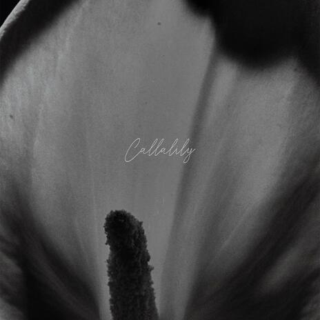 Callalily | Boomplay Music