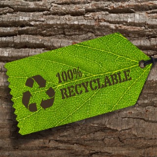 Study: Consumers Aren’t Fooled by “Go Paperless! Go Green” Claims