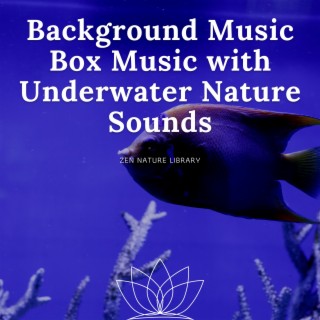 Background Music Box Music with Underwater Nature Sounds