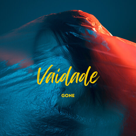 Vaidade ft. Julionobeat | Boomplay Music