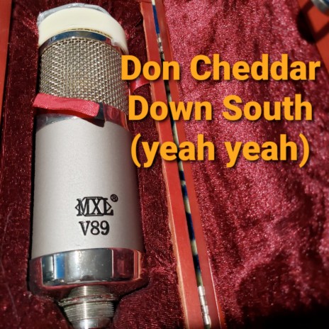 Down South (Yeah Yeah) | Boomplay Music