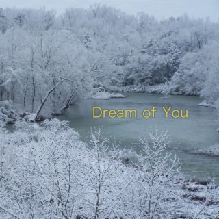 Dream of You