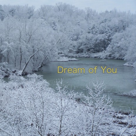 Dream of You | Boomplay Music