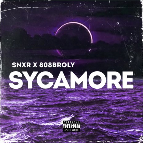 Sycamore | Boomplay Music