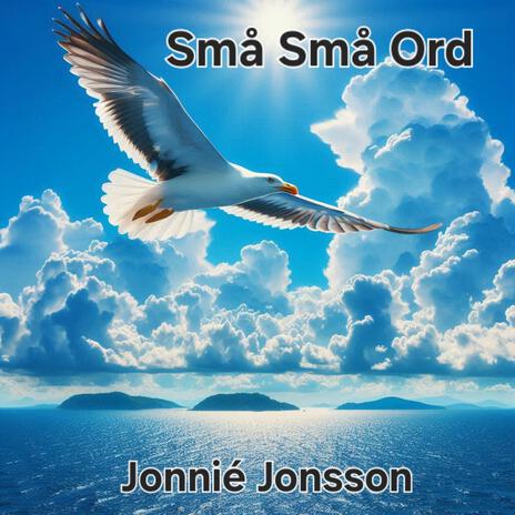 Små Små ord | Boomplay Music