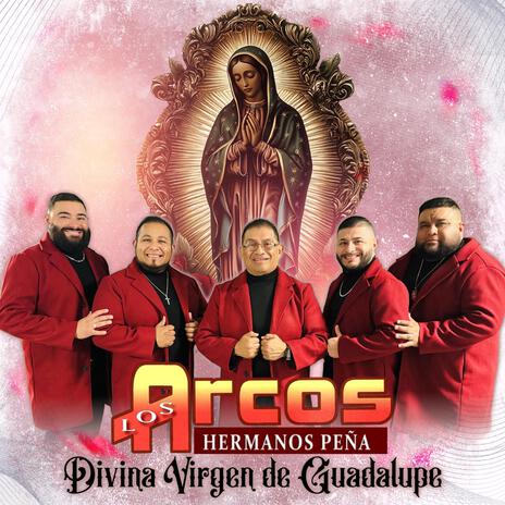 Divina Virgen de Guadalupe (Conjunto) | Boomplay Music