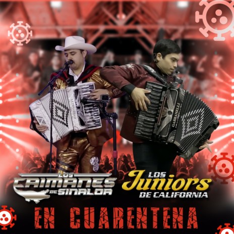 Lobo Guardian (El Cheyo) [feat. Los Juniors De California] | Boomplay Music