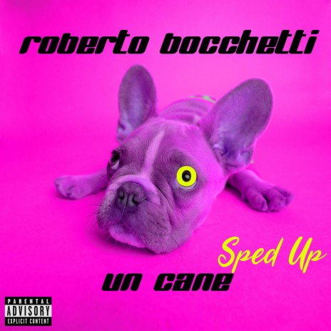 Un cane (Sped Up) | Boomplay Music