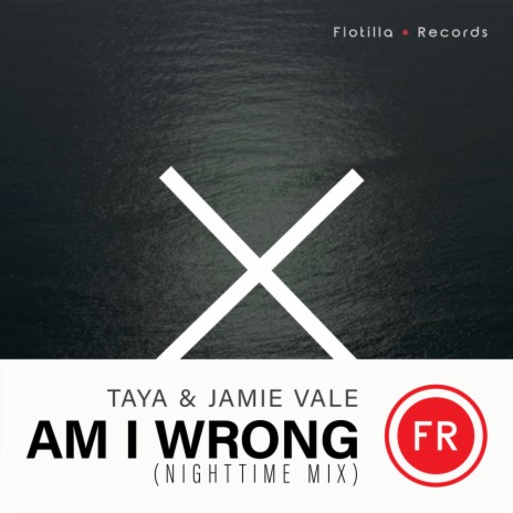 Am I Wrong (Nighttime Mix Radio Edit) ft. Jamie Vale