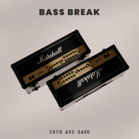 Bass Break (Drum and Bass) ft. Drum Cat | Boomplay Music