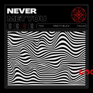 Never Met You ft. Prettibleu lyrics | Boomplay Music
