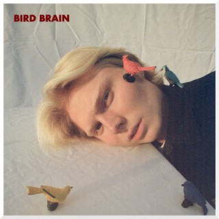 BIRD BRAIN