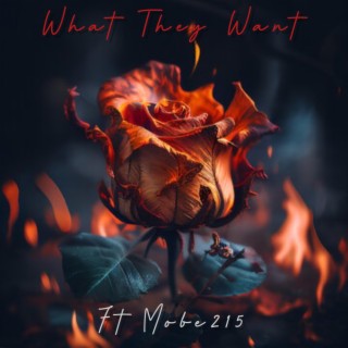 What they want (Radio Edit)