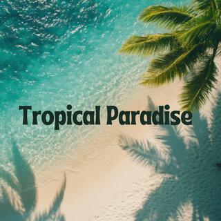 Tropical Paradise: Afro Beats for Spa and Mindful Movement