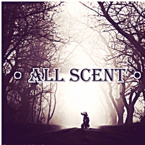 All Scent | Boomplay Music