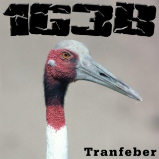 Tranfeber