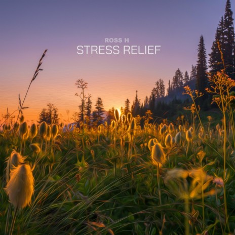 Stress Relief | Boomplay Music