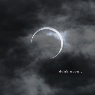 dumb moon lyrics | Boomplay Music