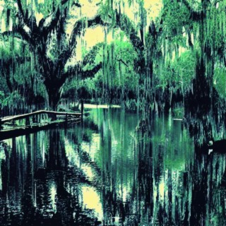 Bayou Blues