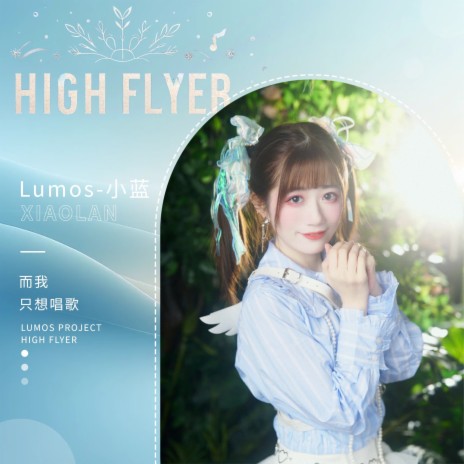 High Flyer | Boomplay Music