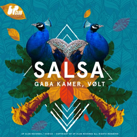 Salsa ft. VØLT | Boomplay Music