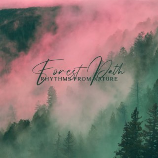 Forest Path: Rhythms From Nature