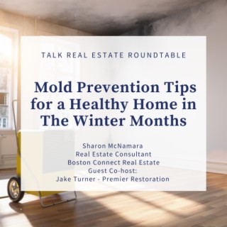 Mold Prevention Tips For a Healthy Home in The Winter Months