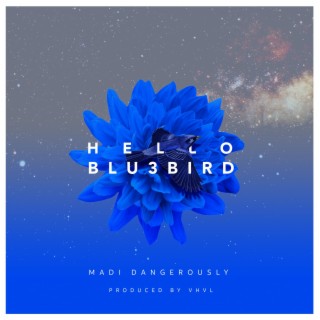 Hello Blu3bird