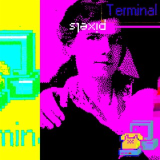 Terminal