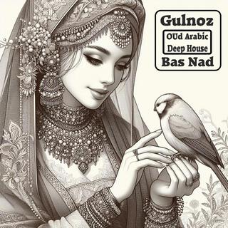 Gulnoz (Oud Arabic Deep House)