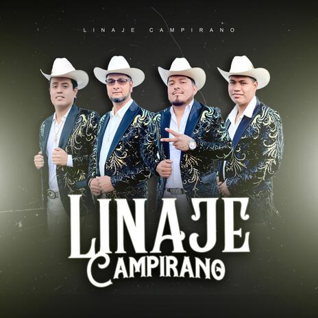 Las Andanzas Del Chimeyo | Boomplay Music