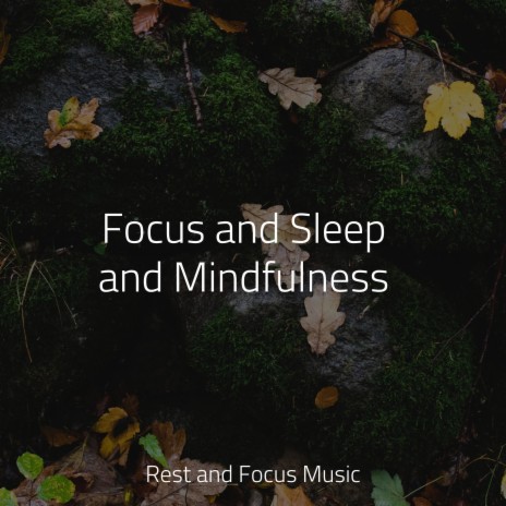 Relaxing Zen | Boomplay Music