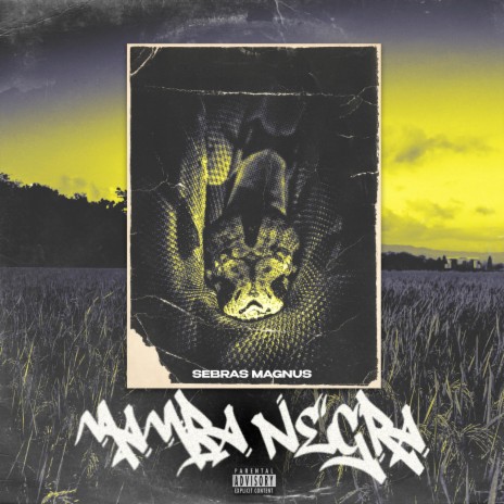 MAMBA NEGRA | Boomplay Music