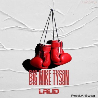 Big Mike Tyson lyrics | Boomplay Music