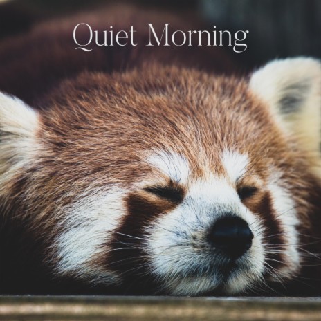 Quiet Morning | Boomplay Music