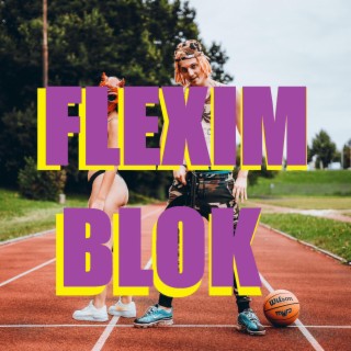 FLEXIM BLOK