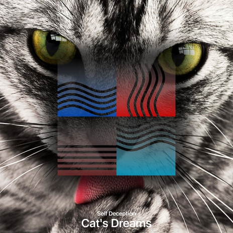 Cat's Dreams | Boomplay Music