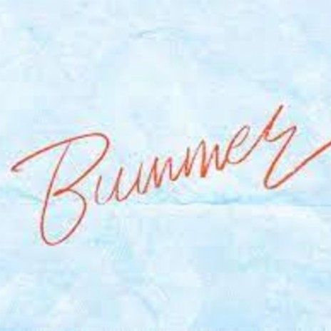 Bummer | Boomplay Music