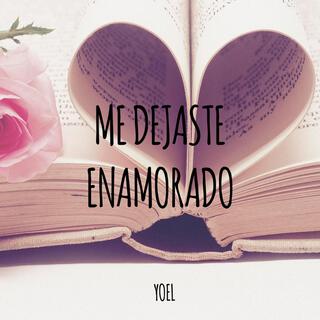 Me dejaste enamorado