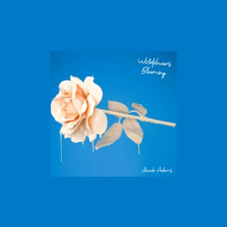Wildflowers Blooming lyrics | Boomplay Music