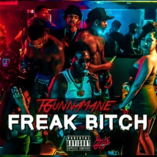 Freak Bitch lyrics | Boomplay Music