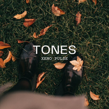 Tones | Boomplay Music