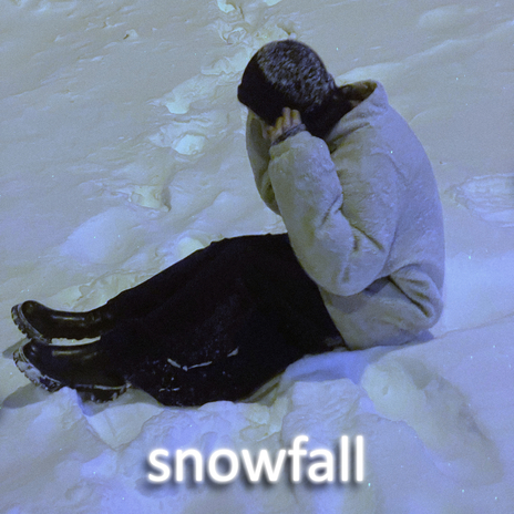 Snowfall | Boomplay Music