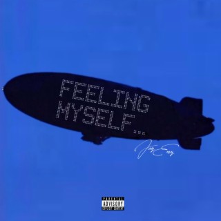 Feeling Myself lyrics | Boomplay Music